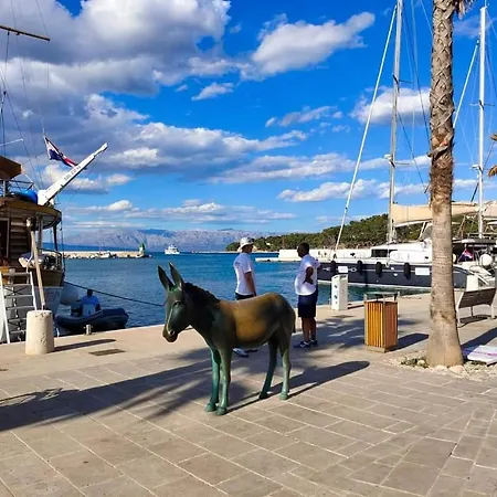 Marina Apartman Jelsa (Hvar)