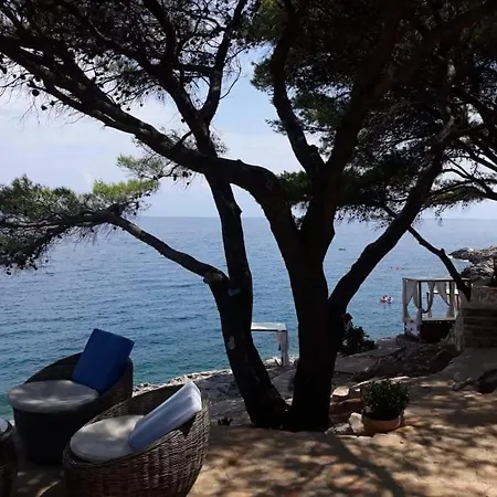 Marina * イェルサ